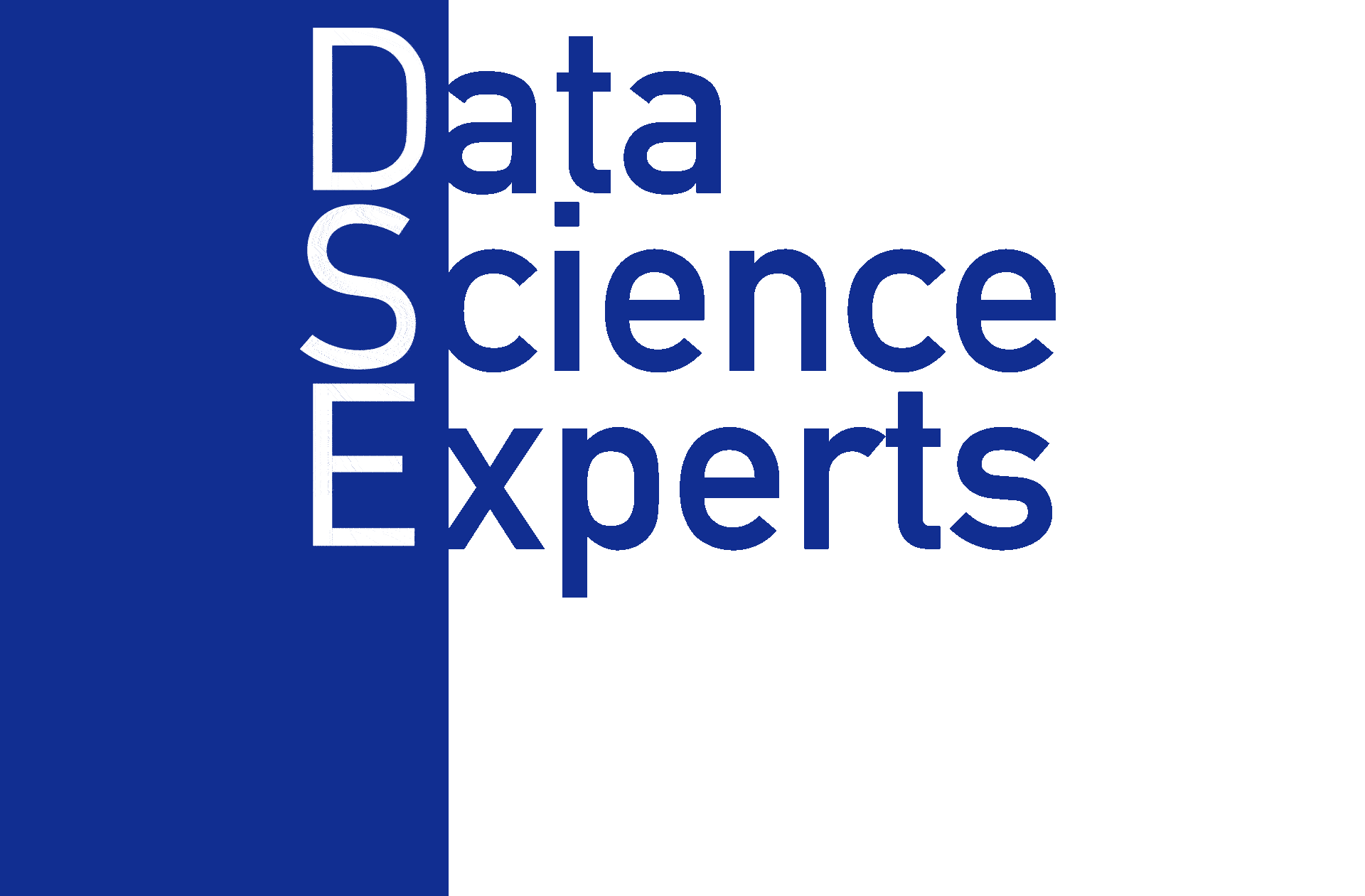 DSE_logo
